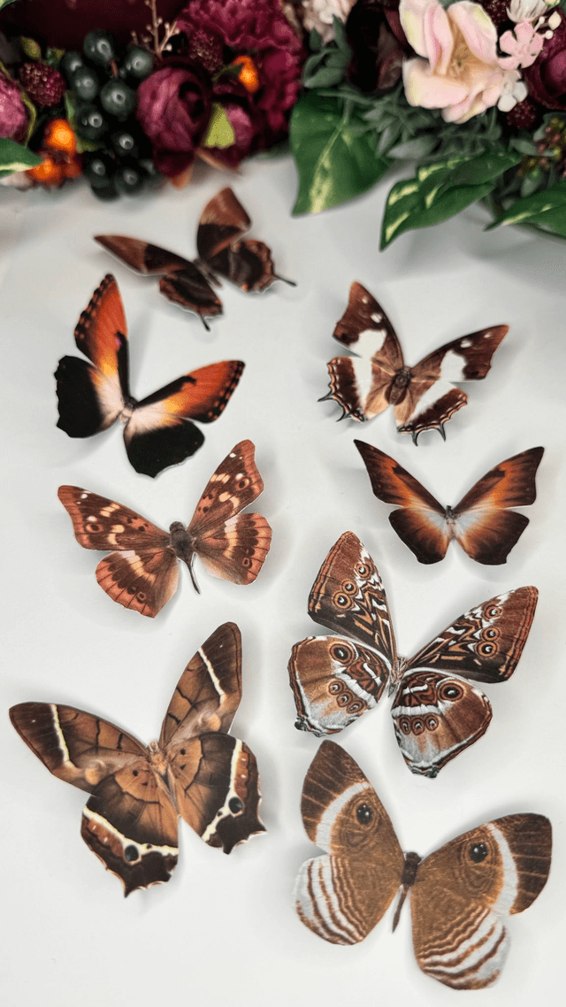 KIT DIY Papillons Marron | Découpe Minutieuse