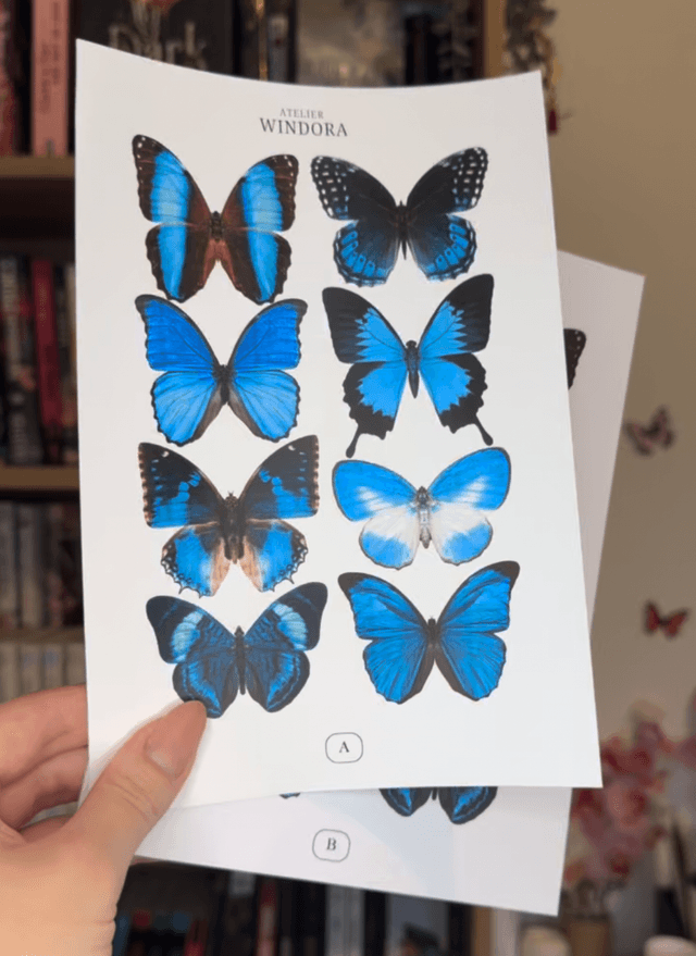 KIT DIY Papillons Bleu | Découpe Minutieuse