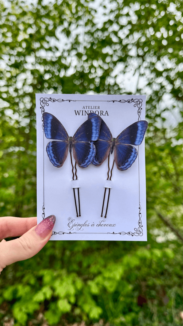 Duo Épingles à cheveux Papillons | Bleu