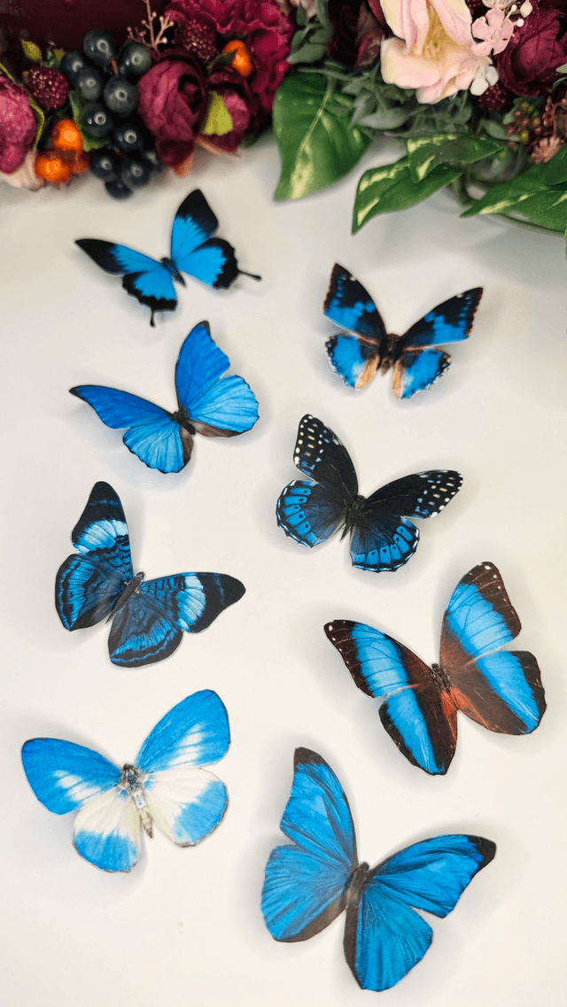 KIT DIY Papillons Bleu | Découpe Minutieuse