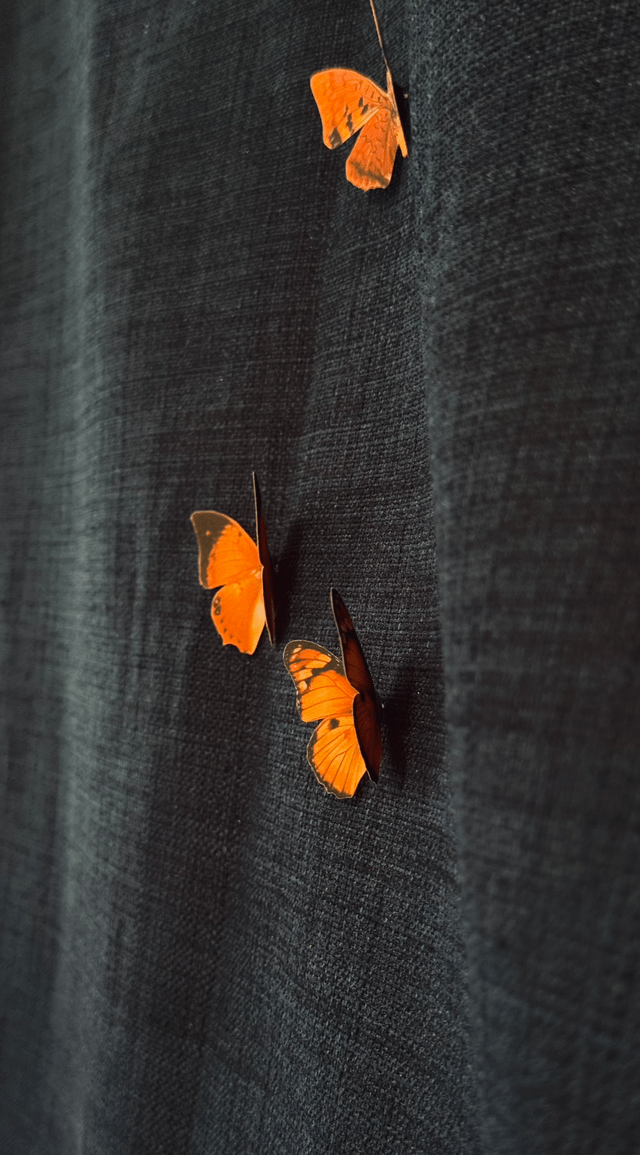 Lot de 2 Pins Papillons Jaune | Décoration de rideaux