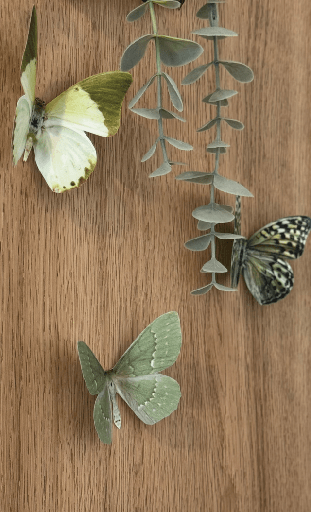 Lot de 3 Papillons Vert | Décoratifs
