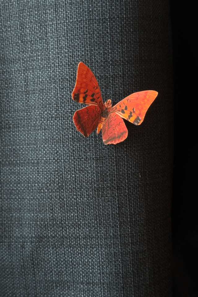 Lot de 2 Pins Papillons Violet | Décoration de rideaux