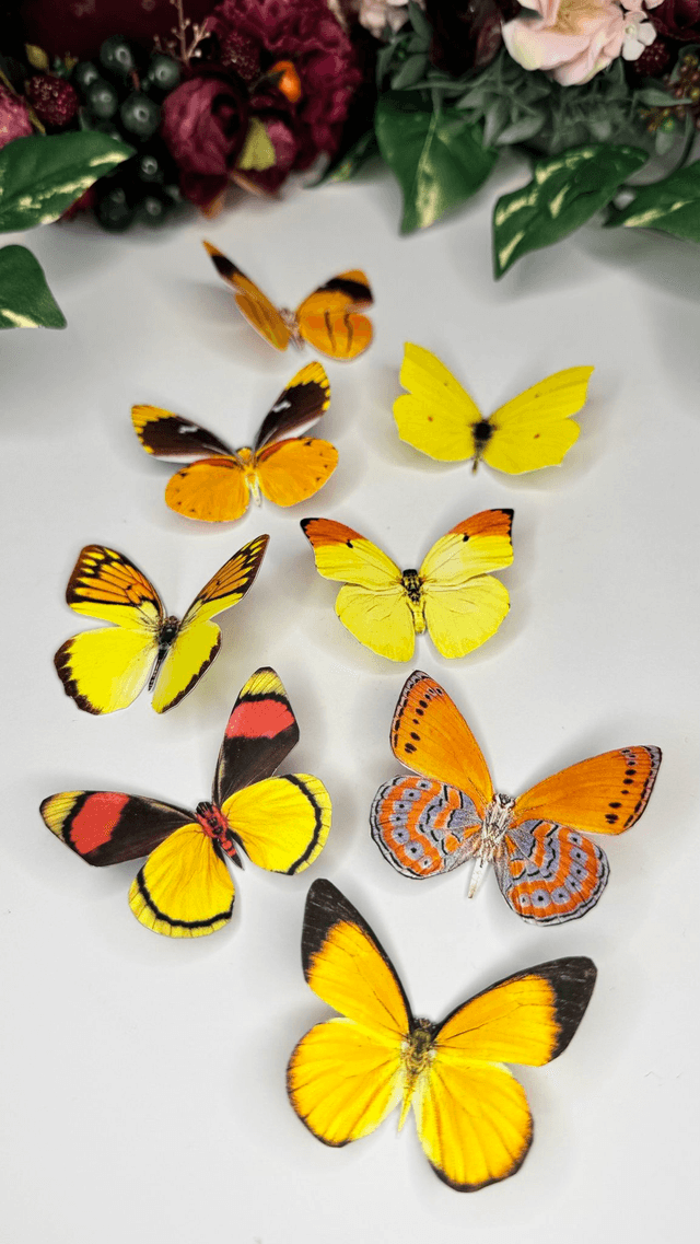KIT DIY Papillons Jaune | Découpe Minutieuse
