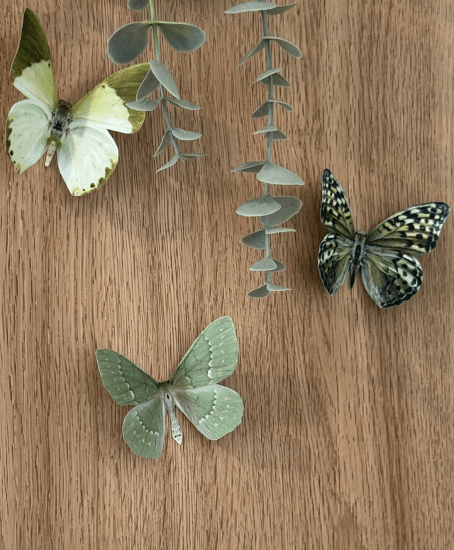 Lot de 2 Papillons Bleu-Violet | Décoratifs