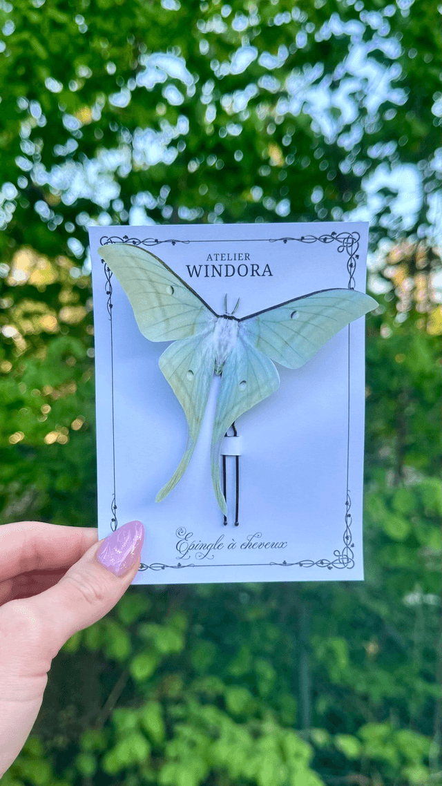1 Large Épingle à cheveux Papillons | Vert