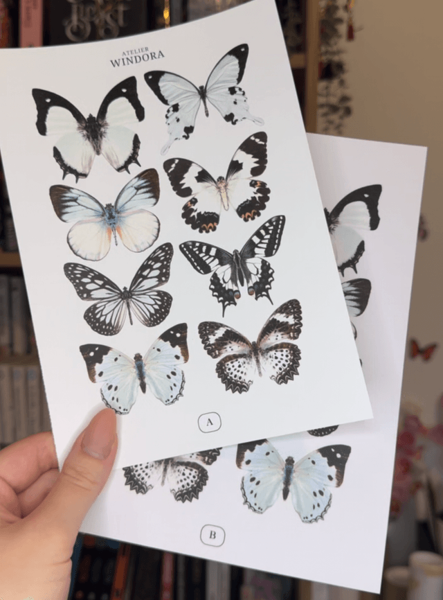 KIT DIY Papillons Noir & Blanc | Découpe Minutieuse