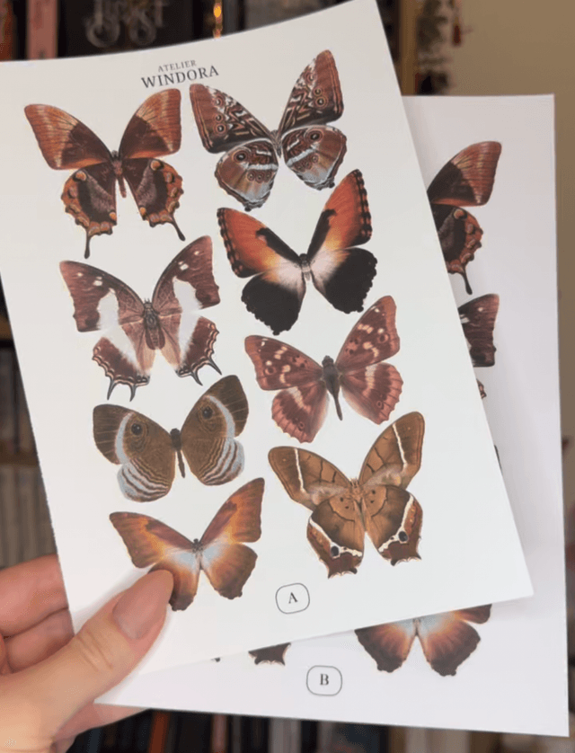 KIT DIY Papillons Marron | Découpe Minutieuse