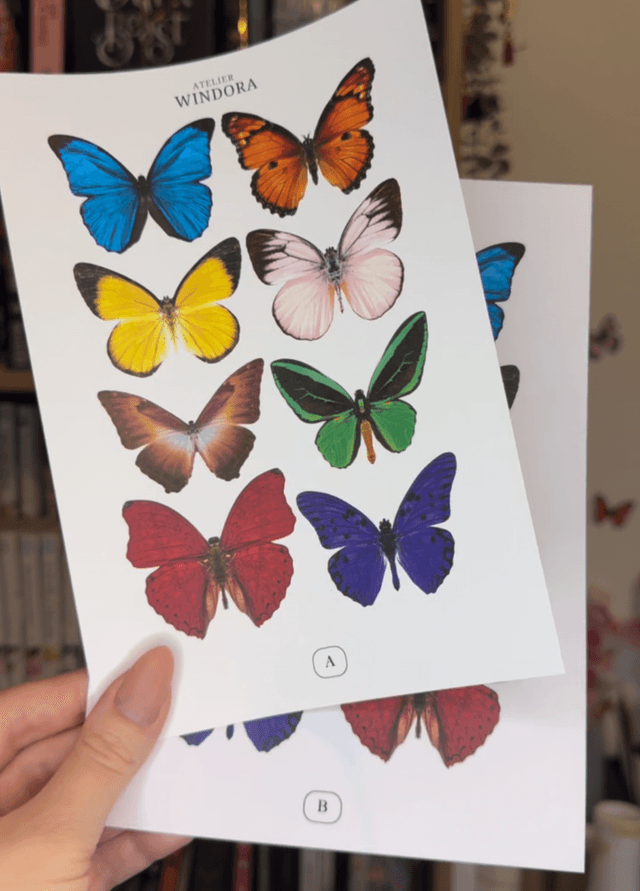KIT DIY Papillons Multicolore | Découpe Minutieuse