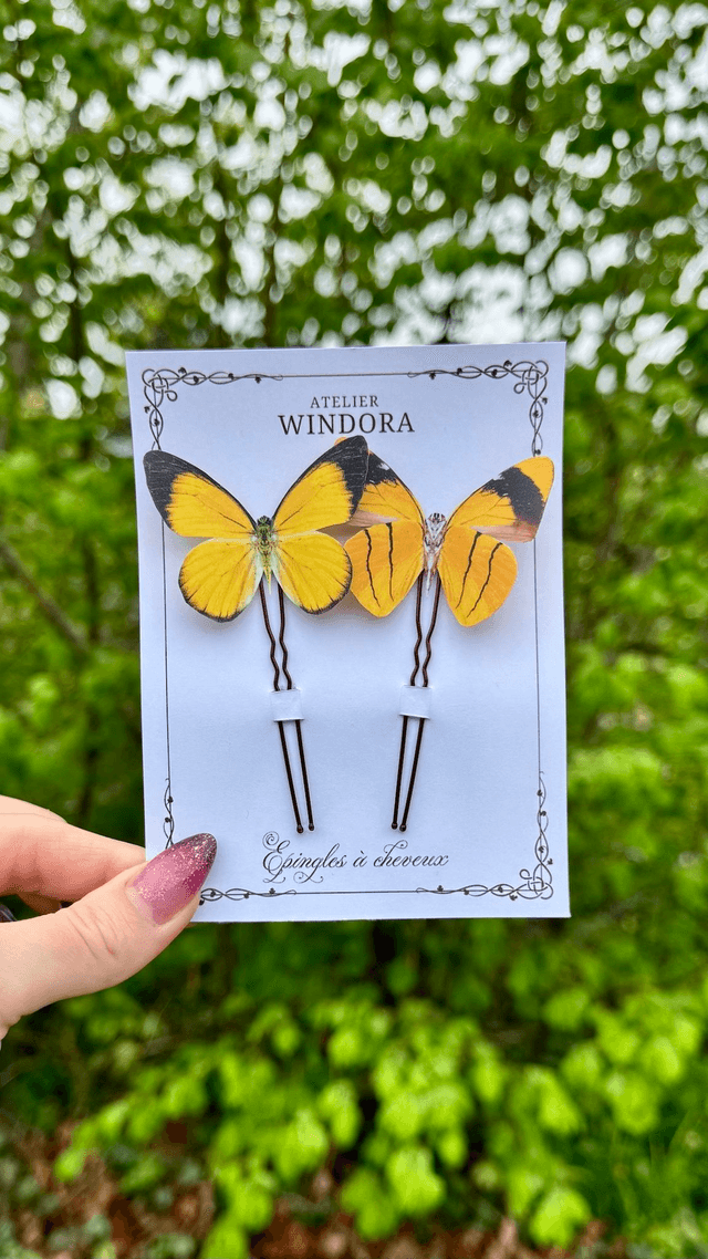 Duo Épingles à cheveux Papillons | Jaune