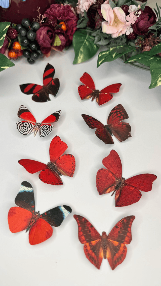 KIT DIY Papillons Rouge | Découpe Minutieuse