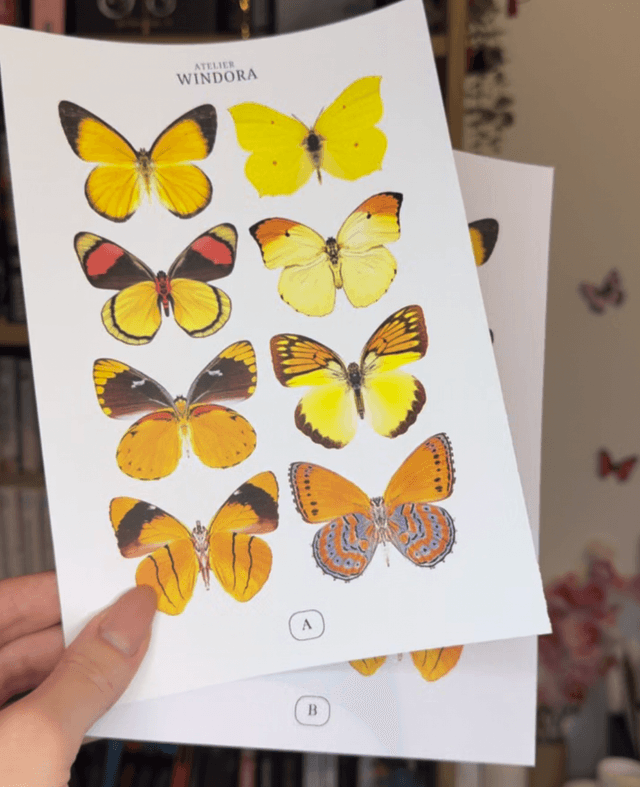KIT DIY Papillons Jaune | Découpe Minutieuse