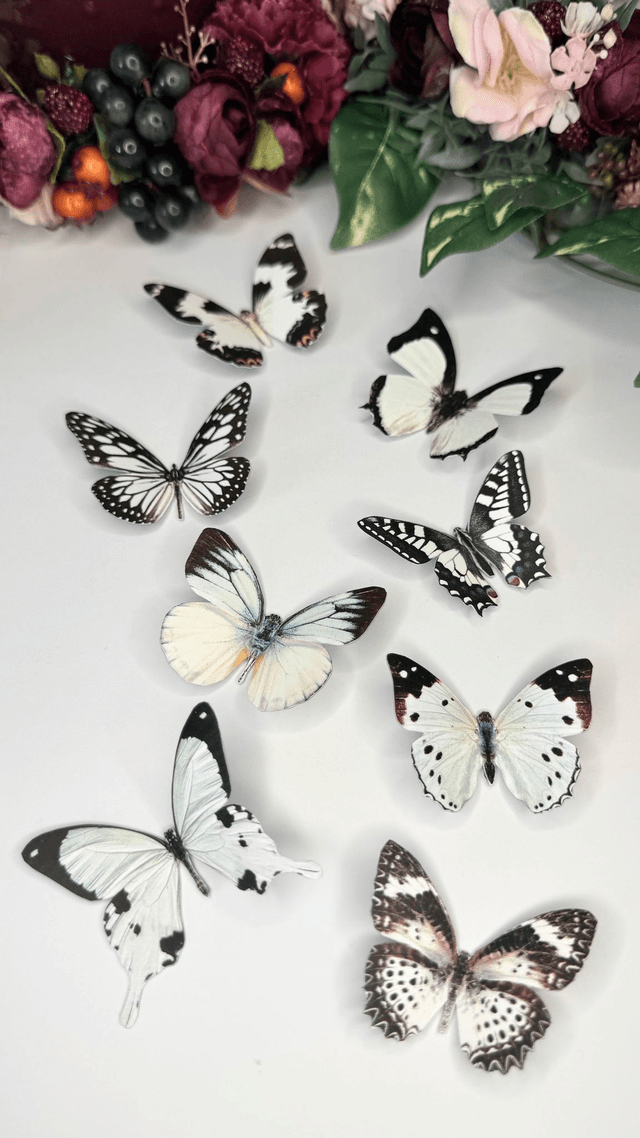 KIT DIY Papillons Noir & Blanc | Découpe Minutieuse