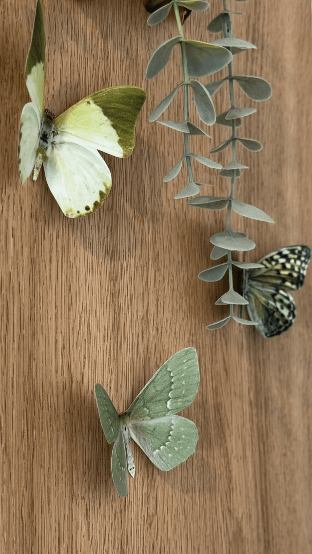 Lot de 3 Papillons Bleu | Décoratifs