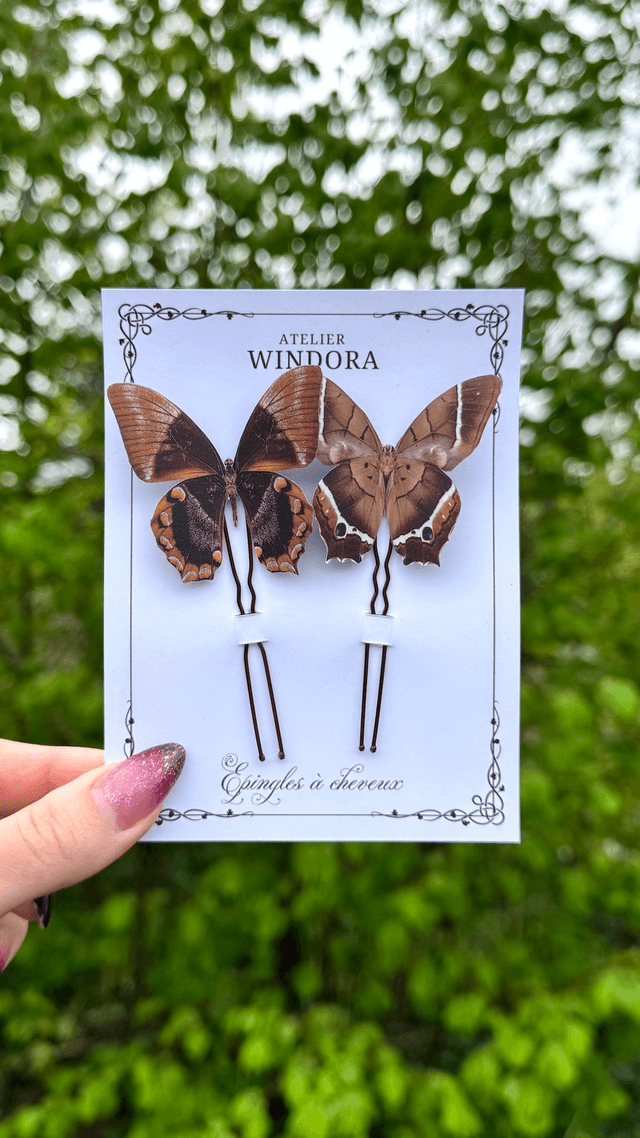 Duo Épingles à cheveux Papillons | Marron