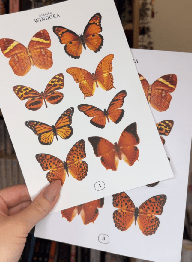 KIT DIY Papillons Orange | Découpe Minutieuse