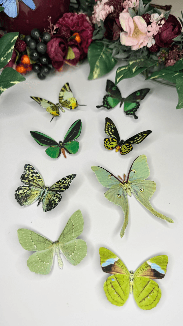 KIT DIY Papillons Vert | Découpe Minutieuse
