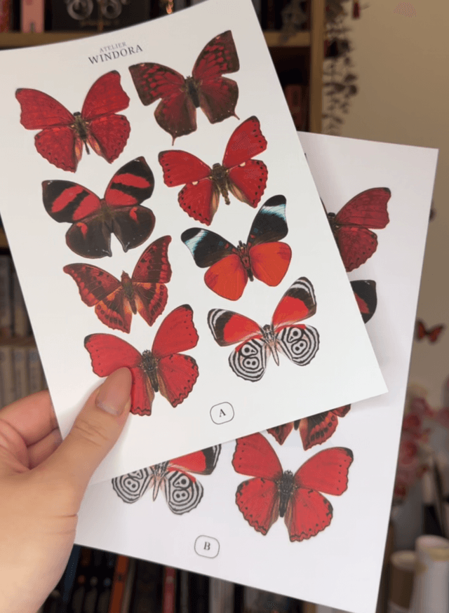 KIT DIY Papillons Rouge | Découpe Minutieuse