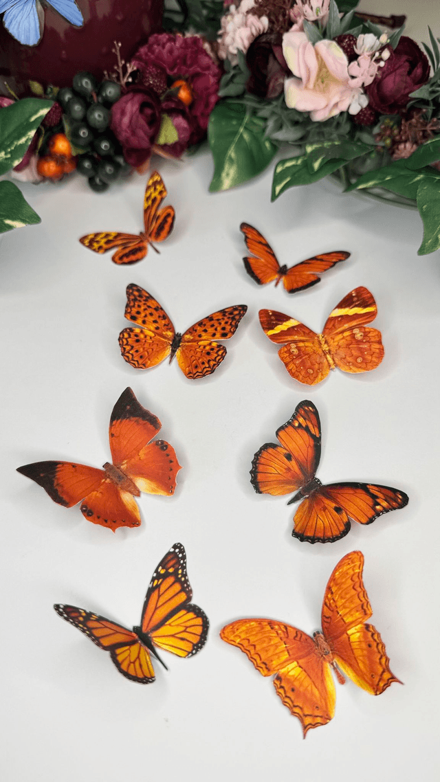 KIT DIY Papillons Orange | Découpe Minutieuse