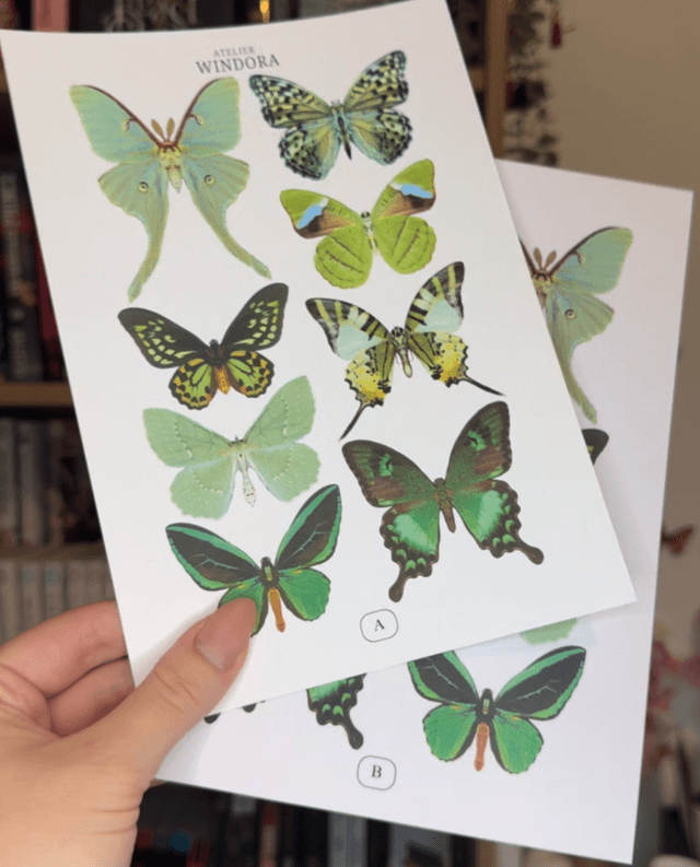 KIT DIY Papillons Vert | Découpe Minutieuse