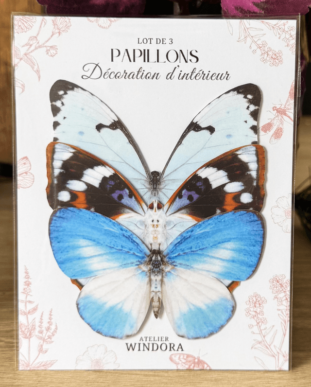Lot de 3 Papillons Bleu | Décoratifs