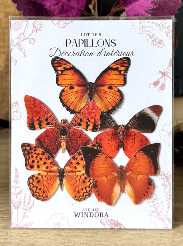 Lot de 5 Papillons Orange | Décoratifs